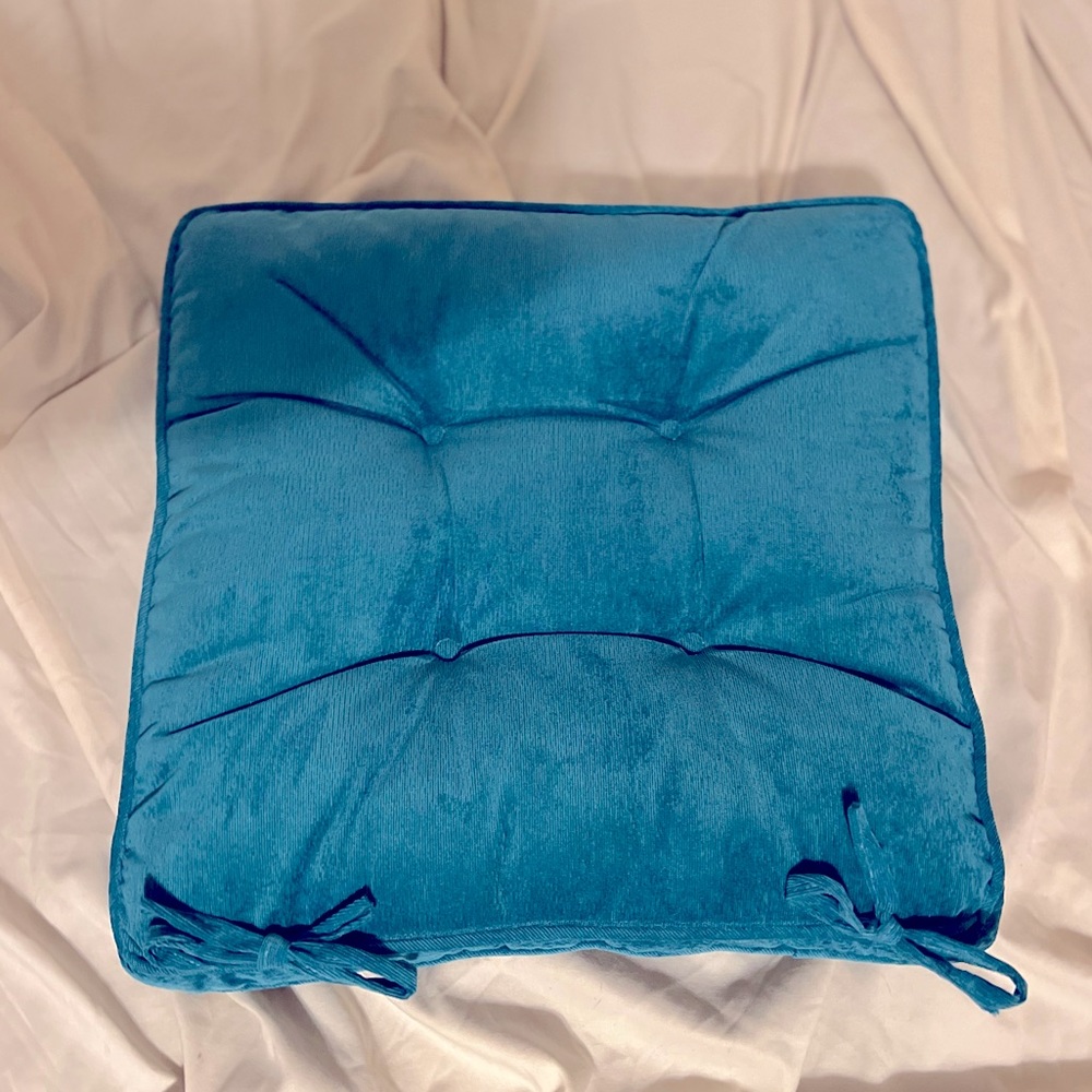Blue indoor outdoor cushions